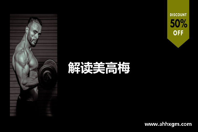 解读美高梅